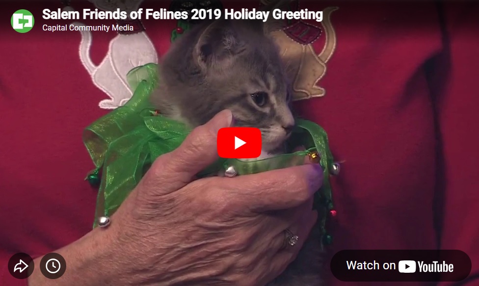  Salem Friends of Felines 2019 Holiday Greeting